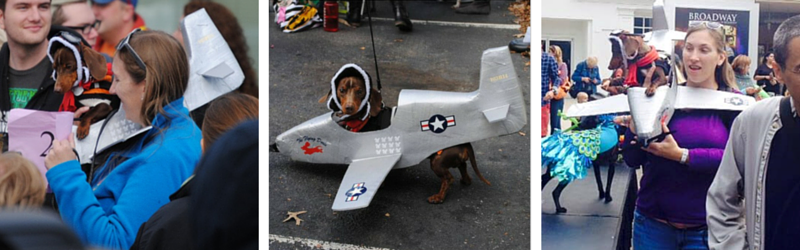 Doxie Ludwig’s Flight to Fame