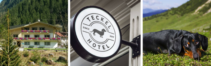 Het Teckel Hotel Opent Zijn Deuren en Wij Zijn Erbij!